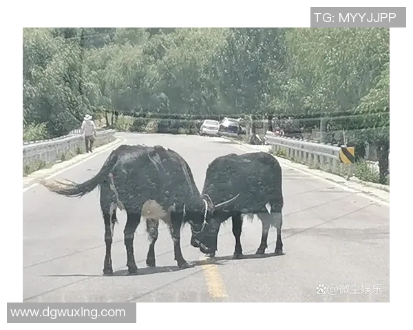 希勒宾夕法尼亚临危不乱，惊险战平小牛！