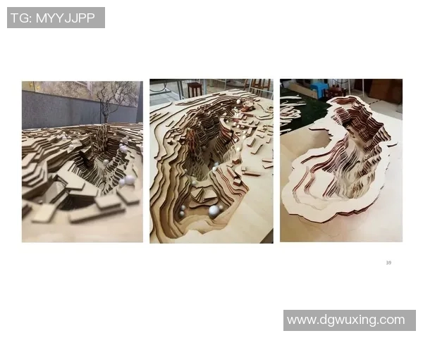 赖斯的外交智慧与全球影响力解析：从历史到未来的深度探讨