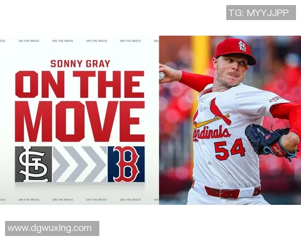 圣路易斯红雀队的辉煌历史与未来展望:从传奇球员到新星崛起的旅程